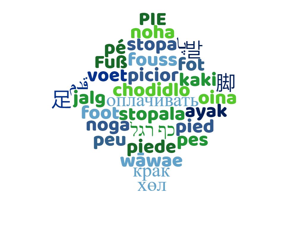 Luis Gandía Zapata-4