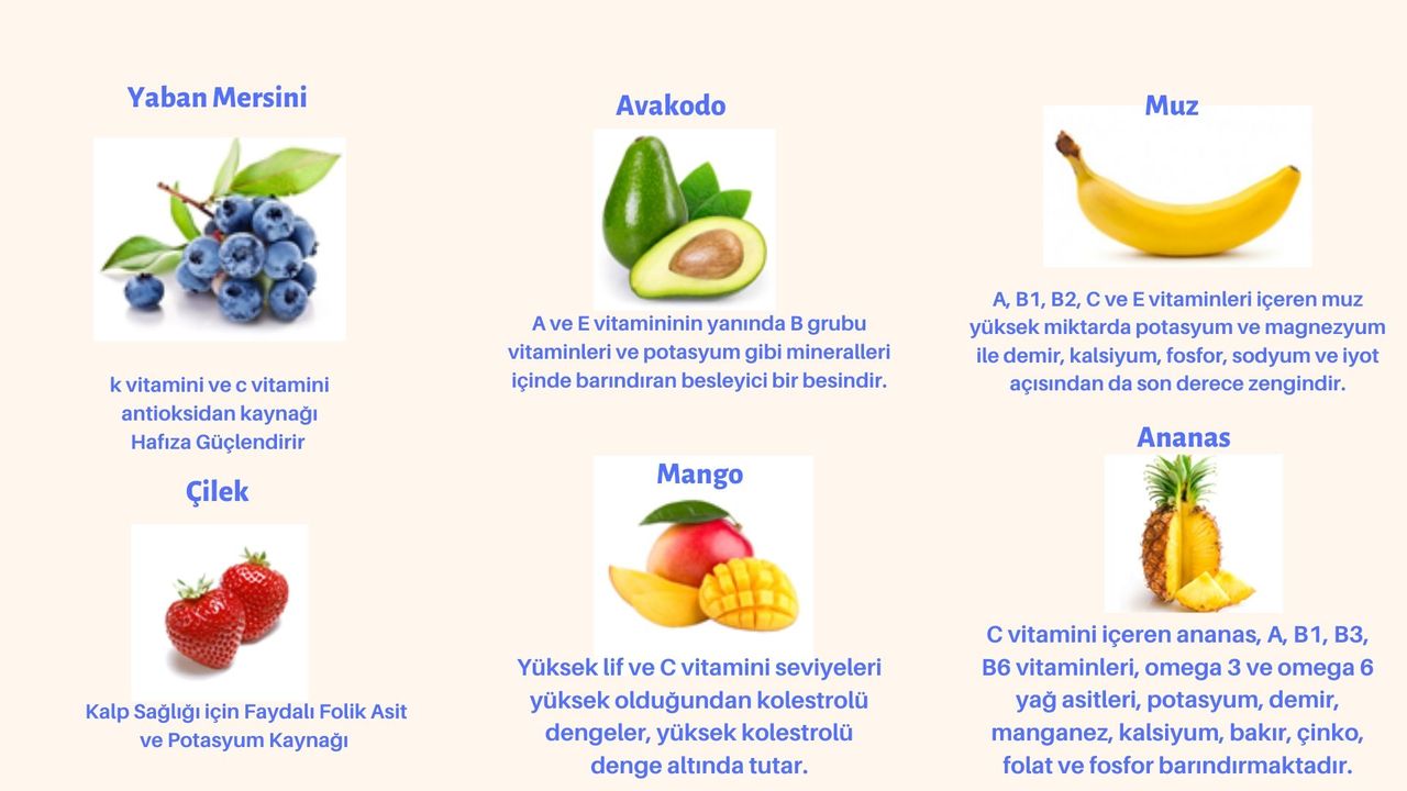 Sernaz Çakır Ercil-8