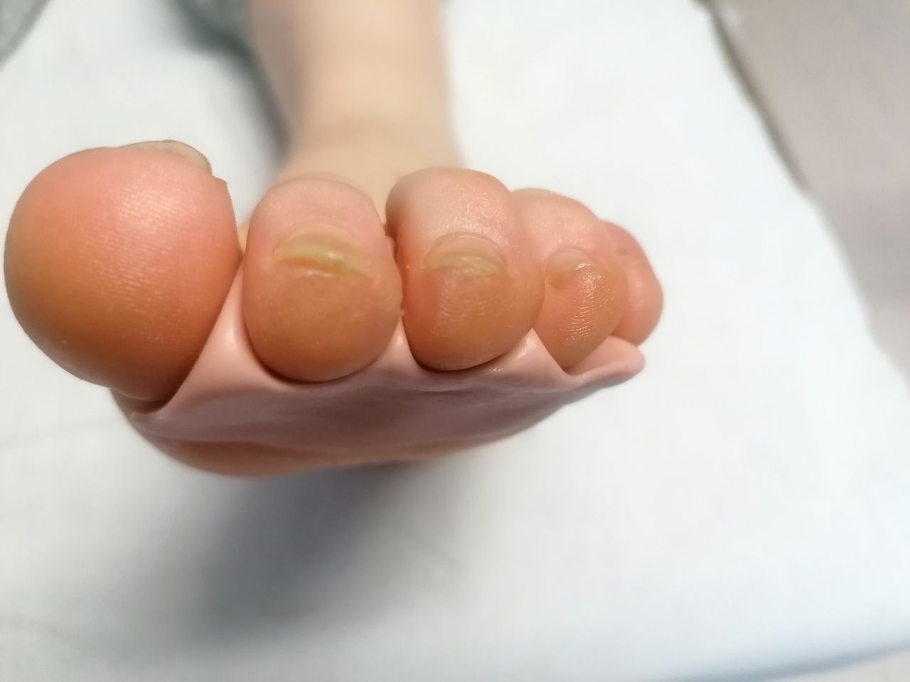 Kassandra Nicolosi-368