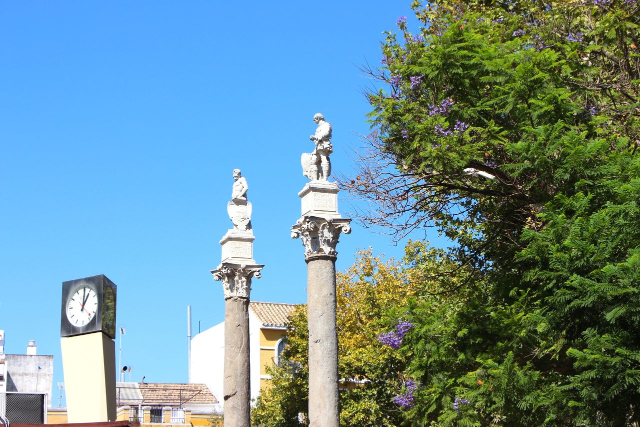 Carmen Molina Chacón-0