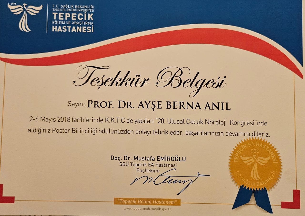 Ayşe Berna Anıl-40