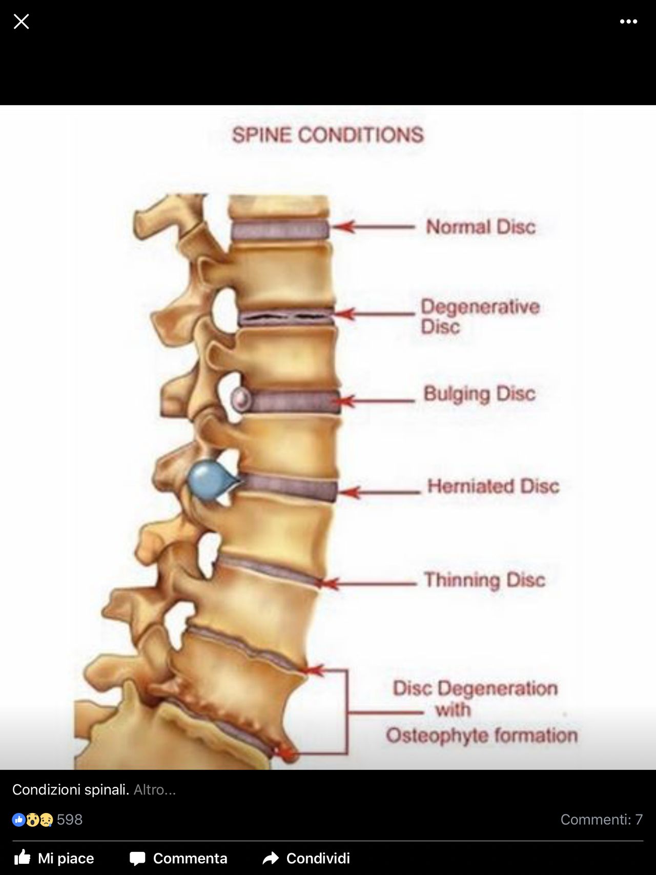 Giuseppe Lombardo-44
