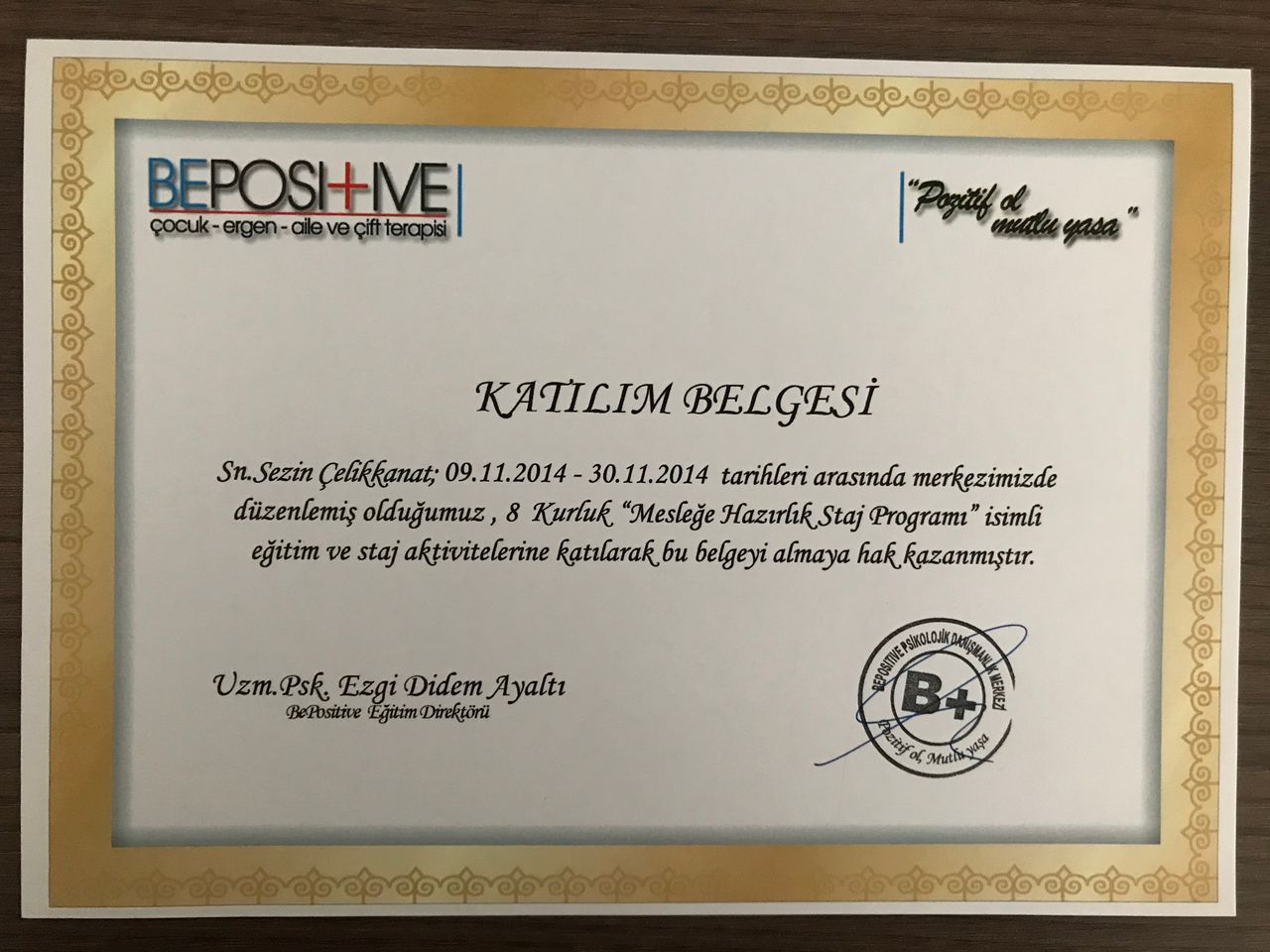 U. Sezin Çelikkanat Mısırlı-11