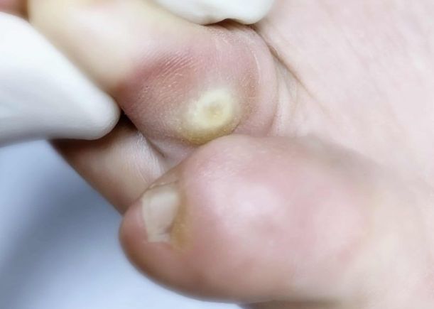 Francesca Montaquila-7