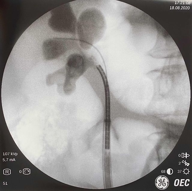 Miguel Angel Rodríguez Cabello-8