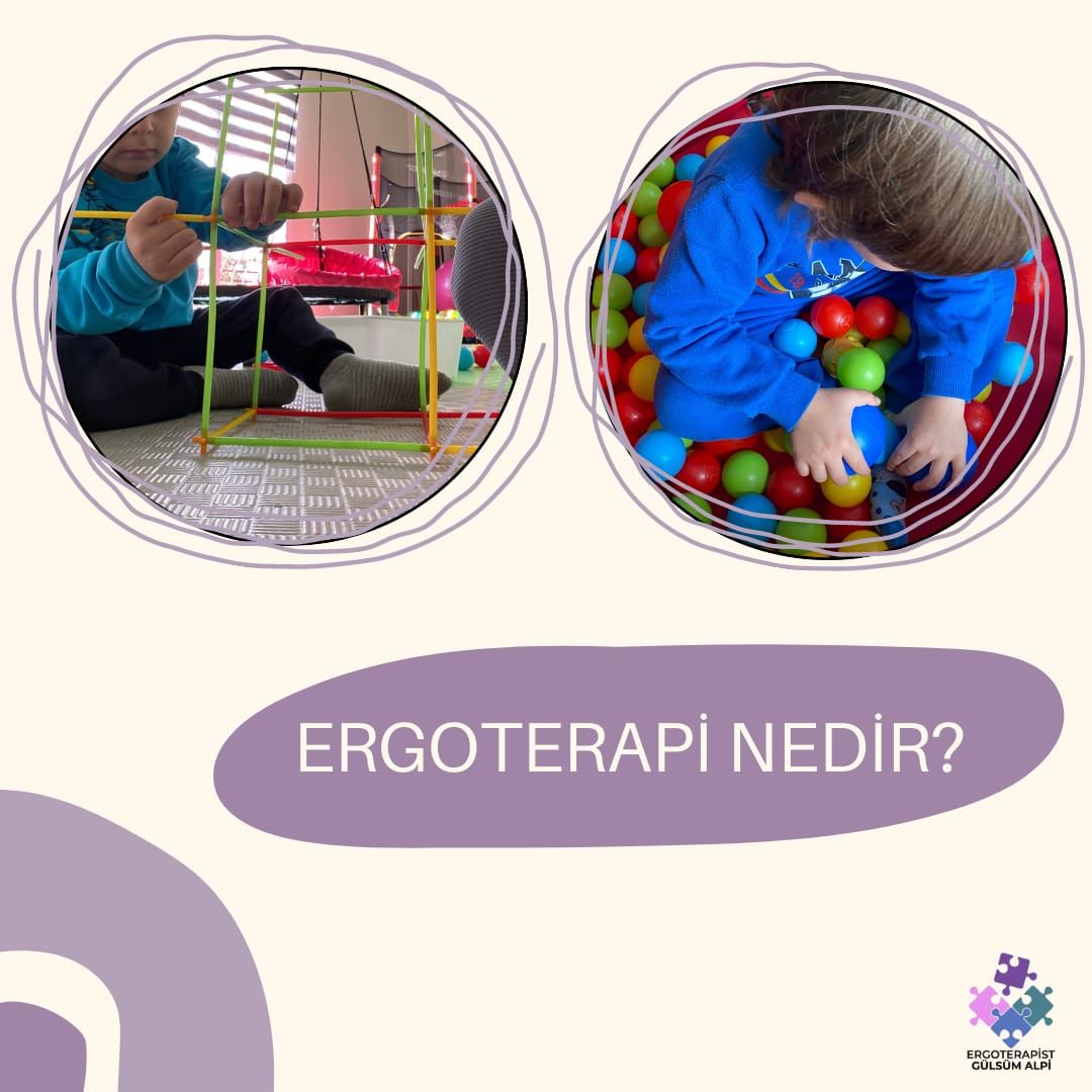 Gülsüm Alpi Türlü-0