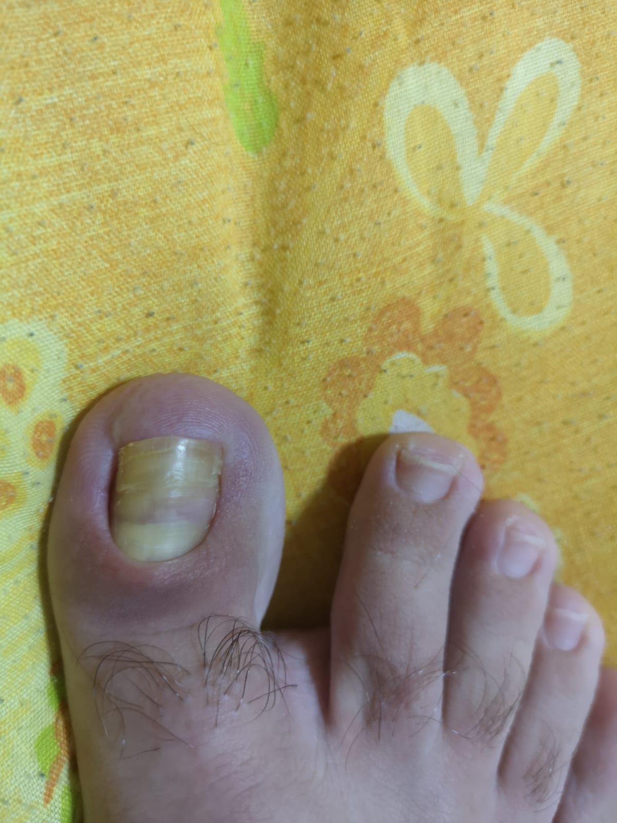 Kassandra Nicolosi-123