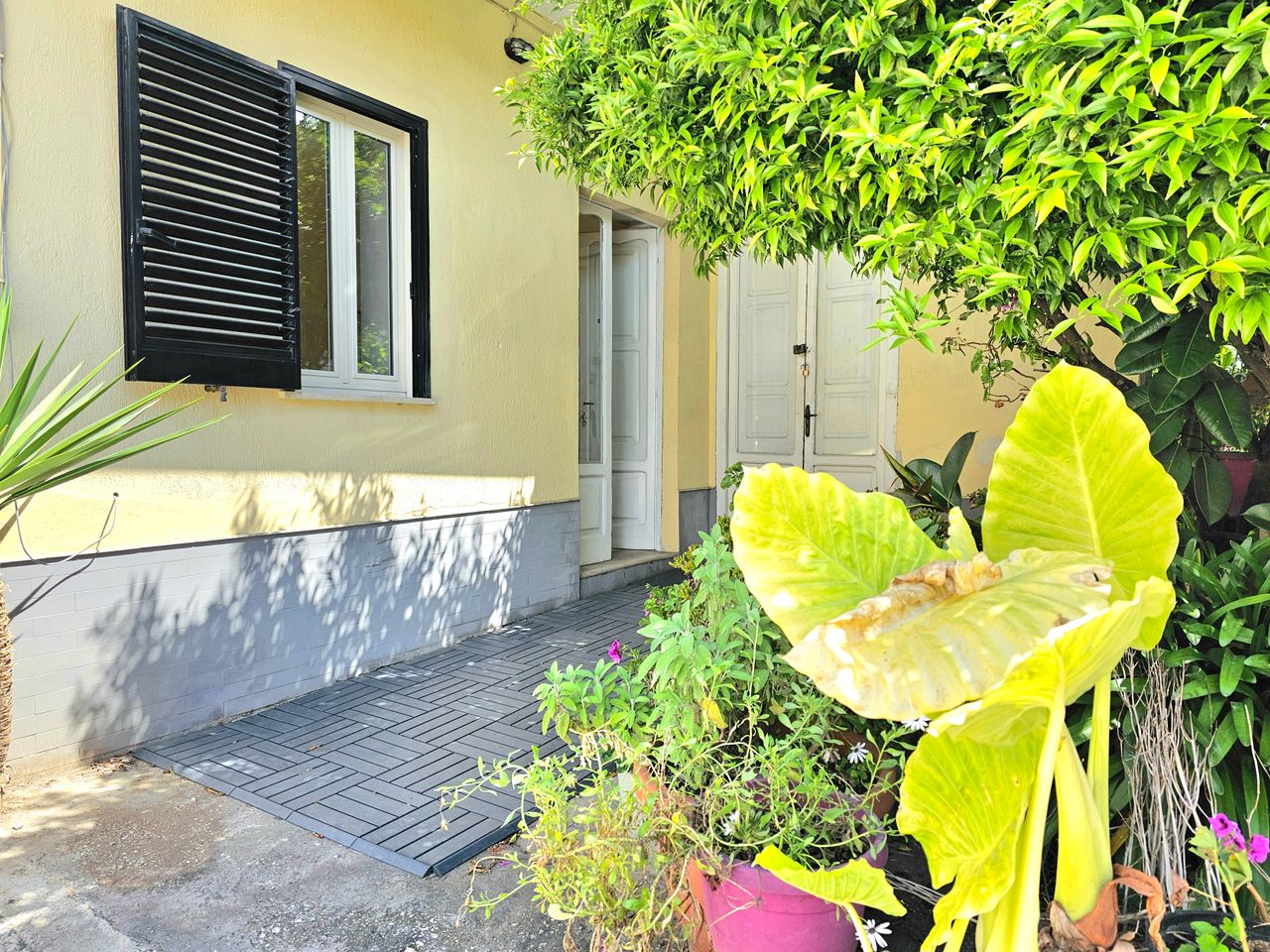 Luca Rocco Gulizia-2