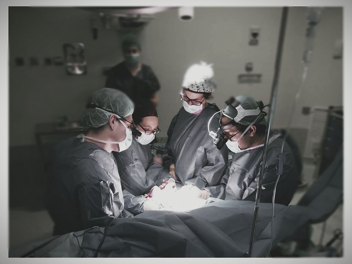 Daniel Vicente Velarde Garrido-7