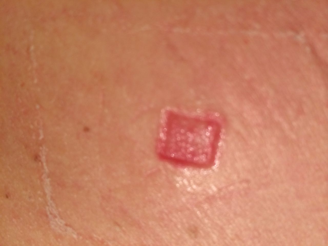 Maria Stefania Leto Barone-5