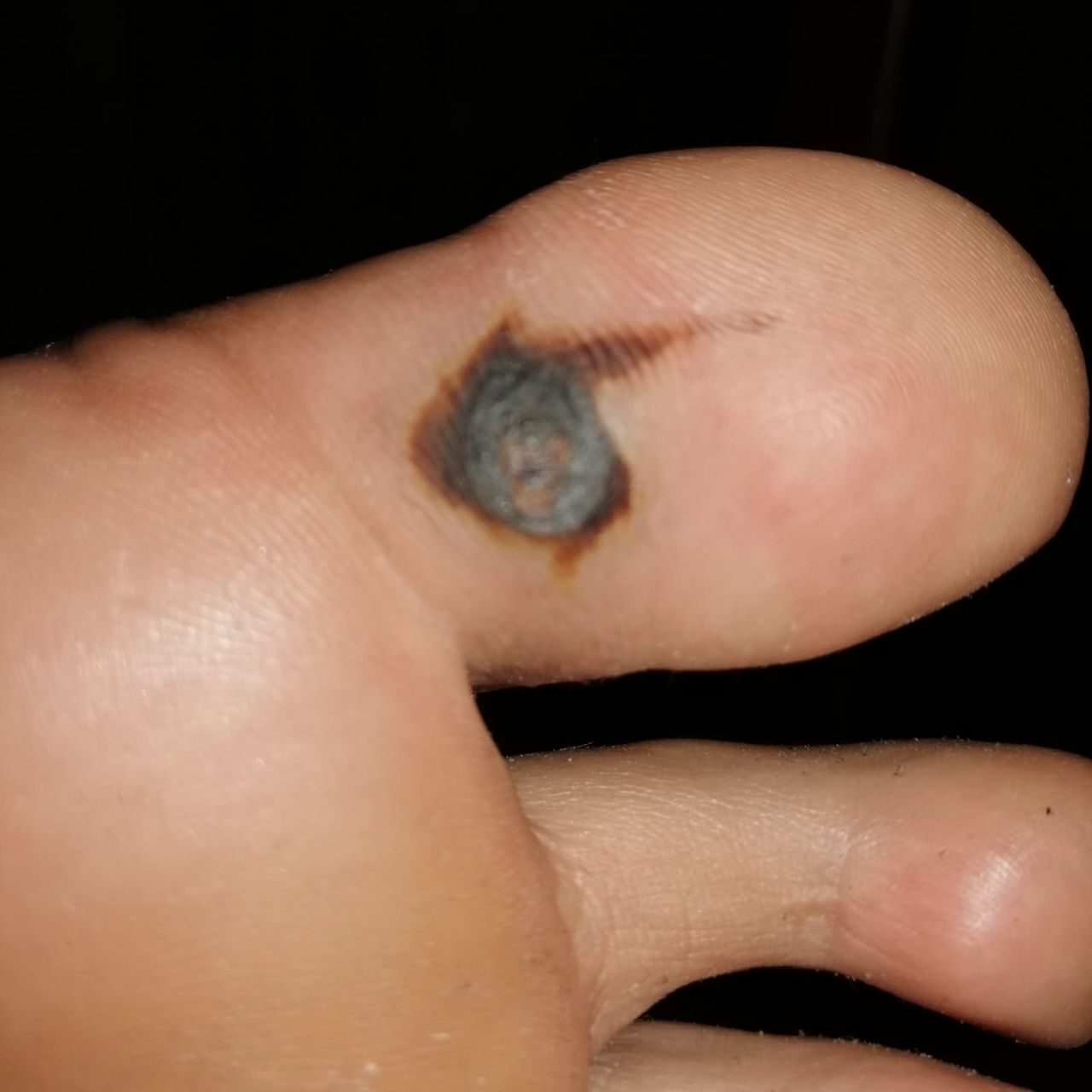 Kassandra Nicolosi-364