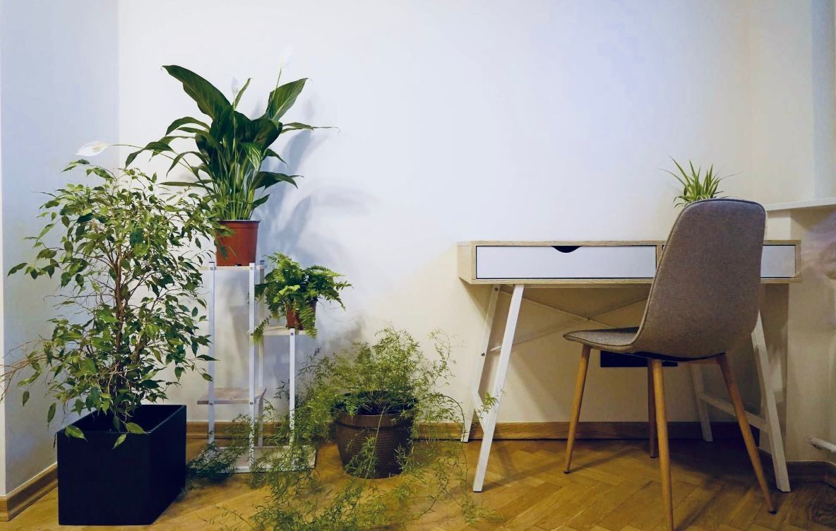 Małgorzata Siemiątkowska-2