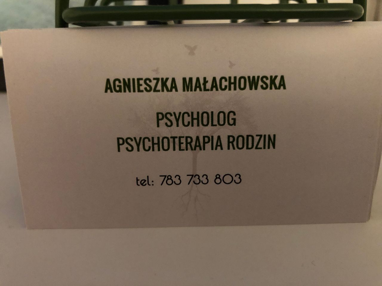 Agnieszka Małachowska-3