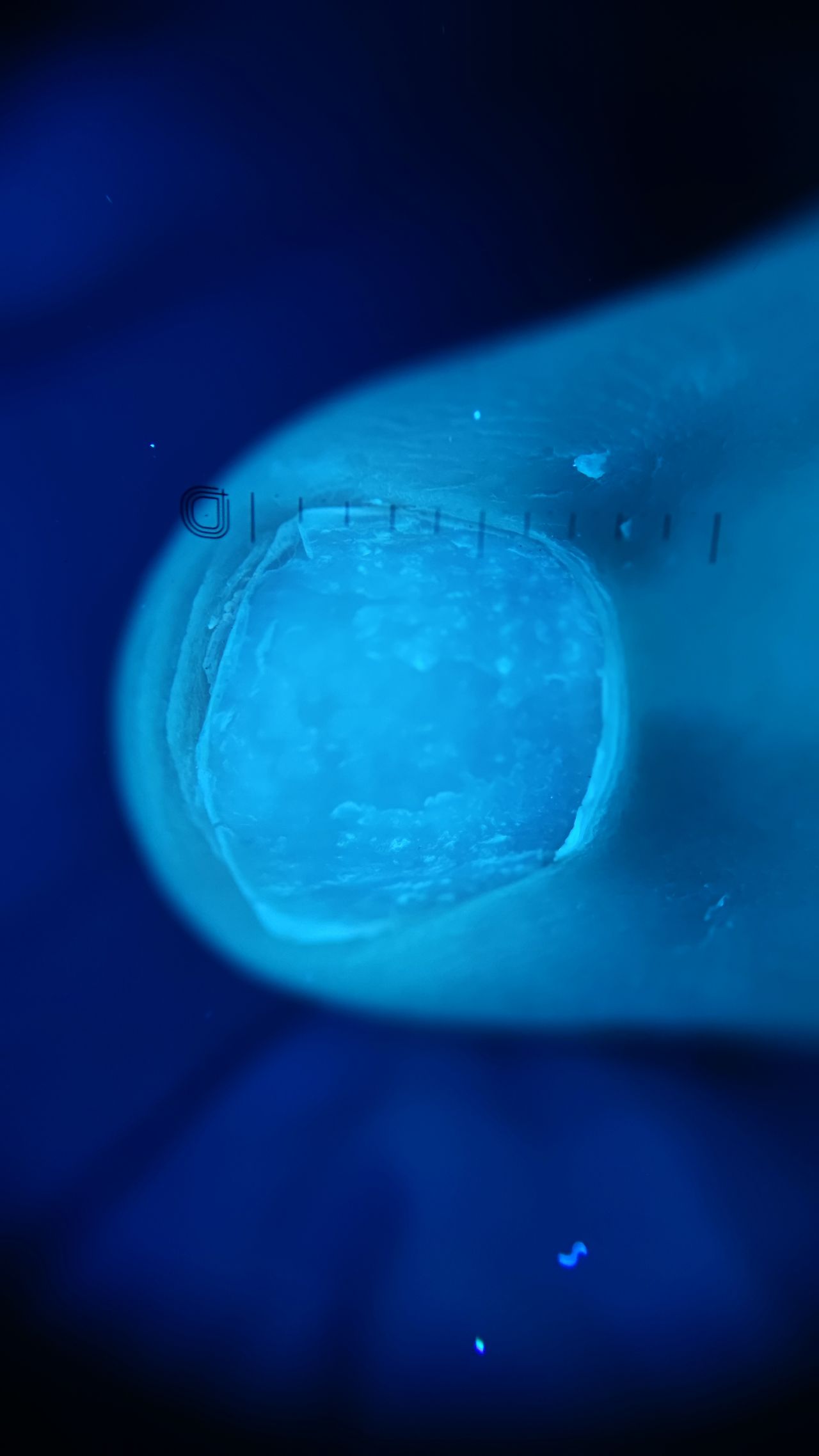 Paweł Pietkiewicz-4