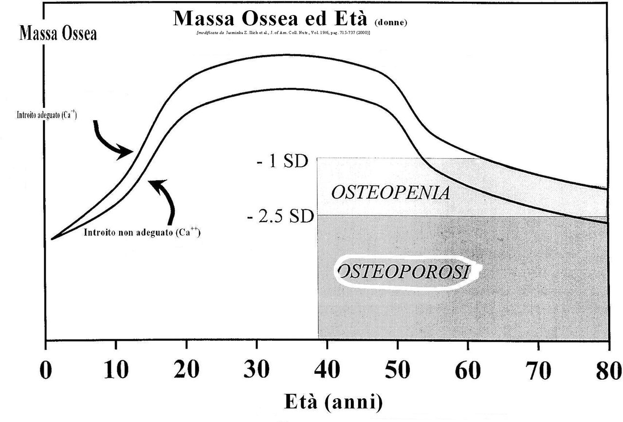 Giacinto Abele Donato Miggiano-29