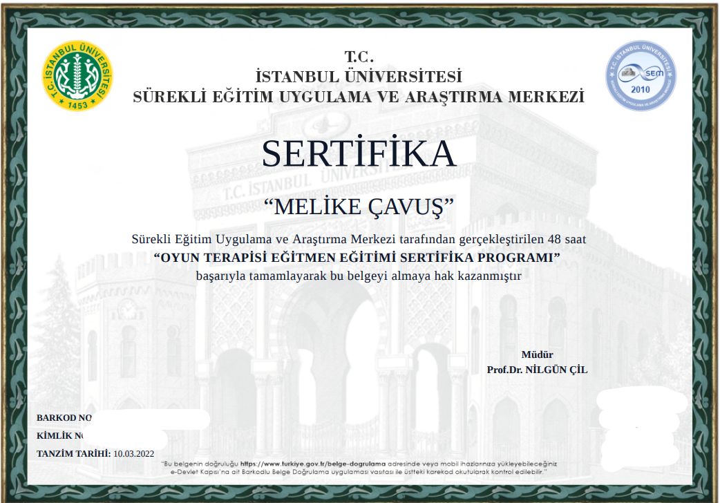 Melike Boylan-4