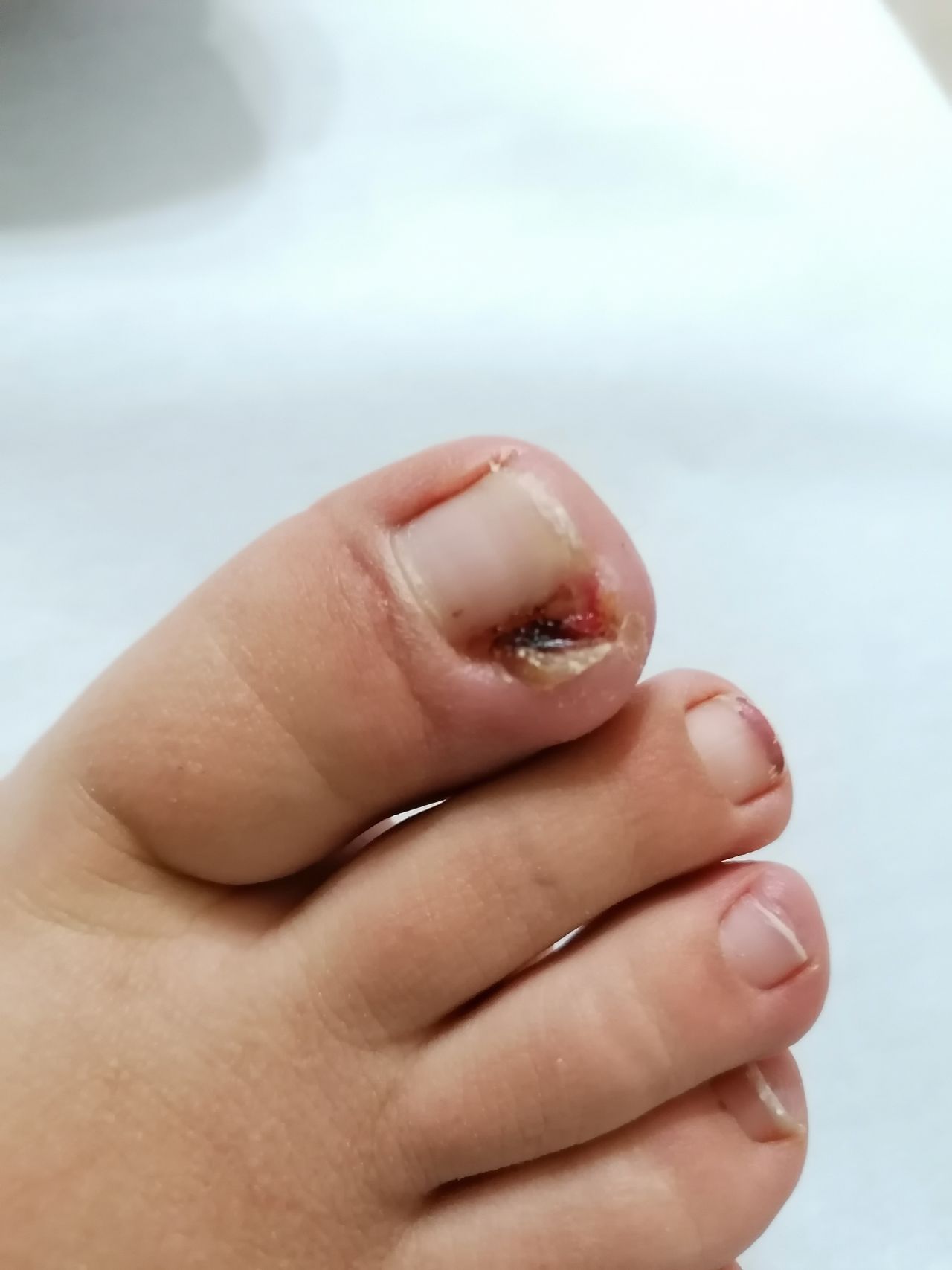 Kassandra Nicolosi-105