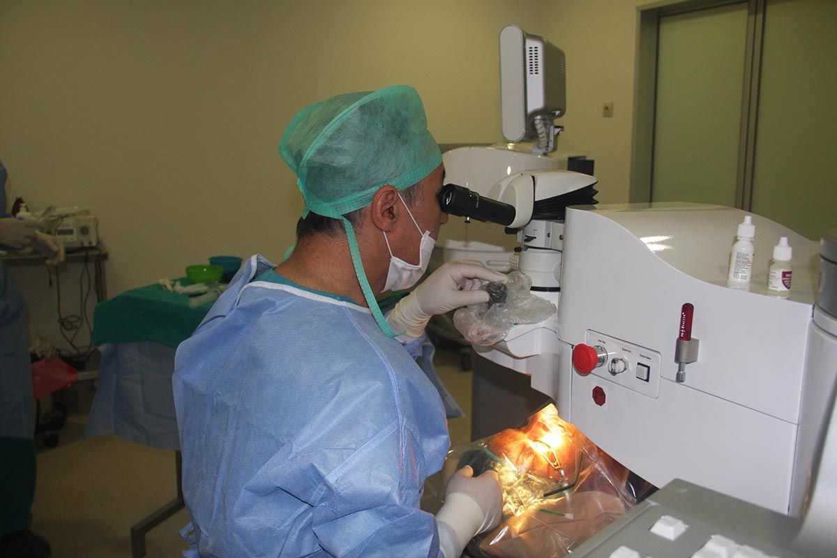 Ali Nihat Ofluoğlu-6