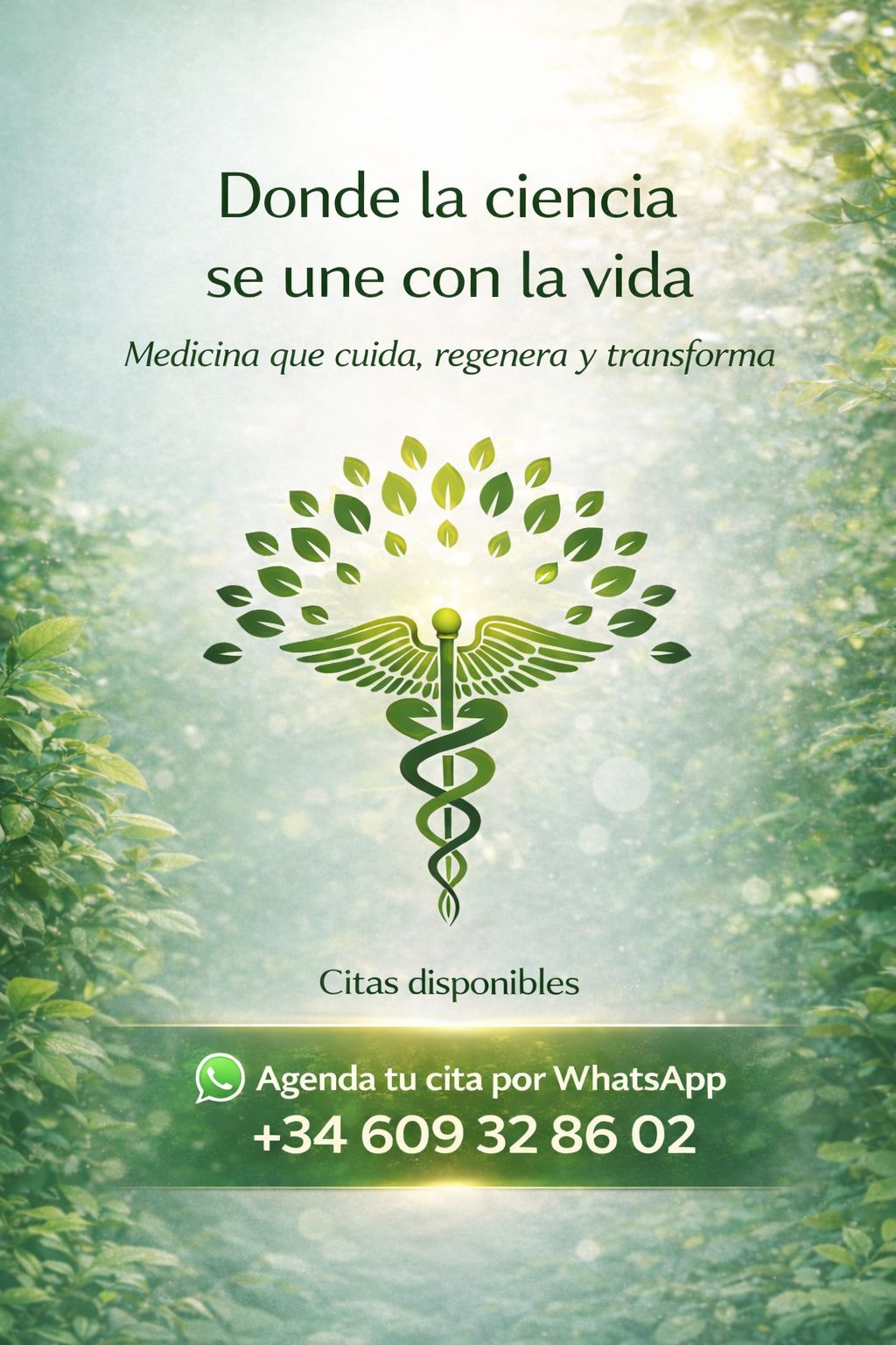 Ninet Vijil Scalici-5