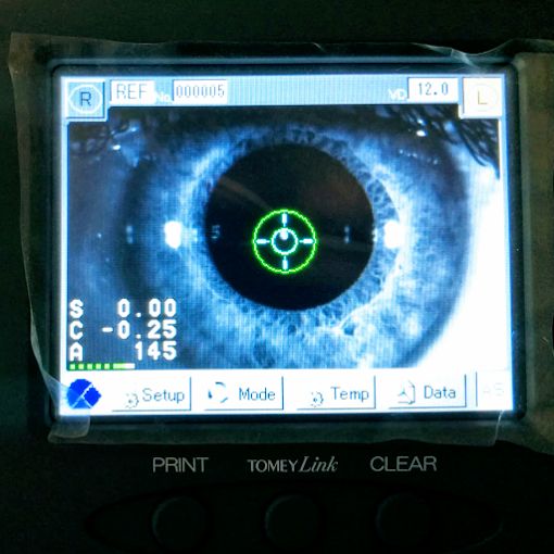 Laura Giovanna Di Maio-4