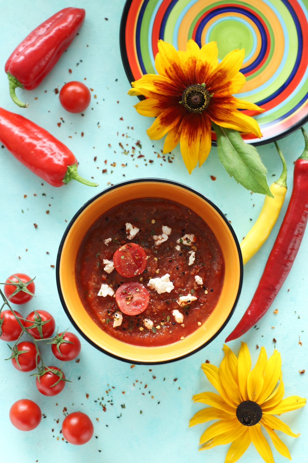 Kamila Seifert-Jędrzejczak-26