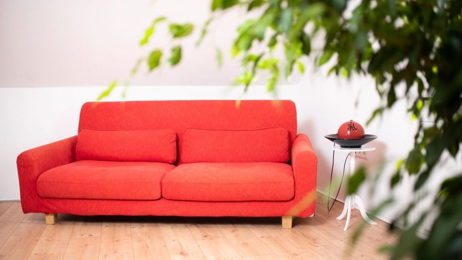 Theresa Wolf-Hoffmann-1