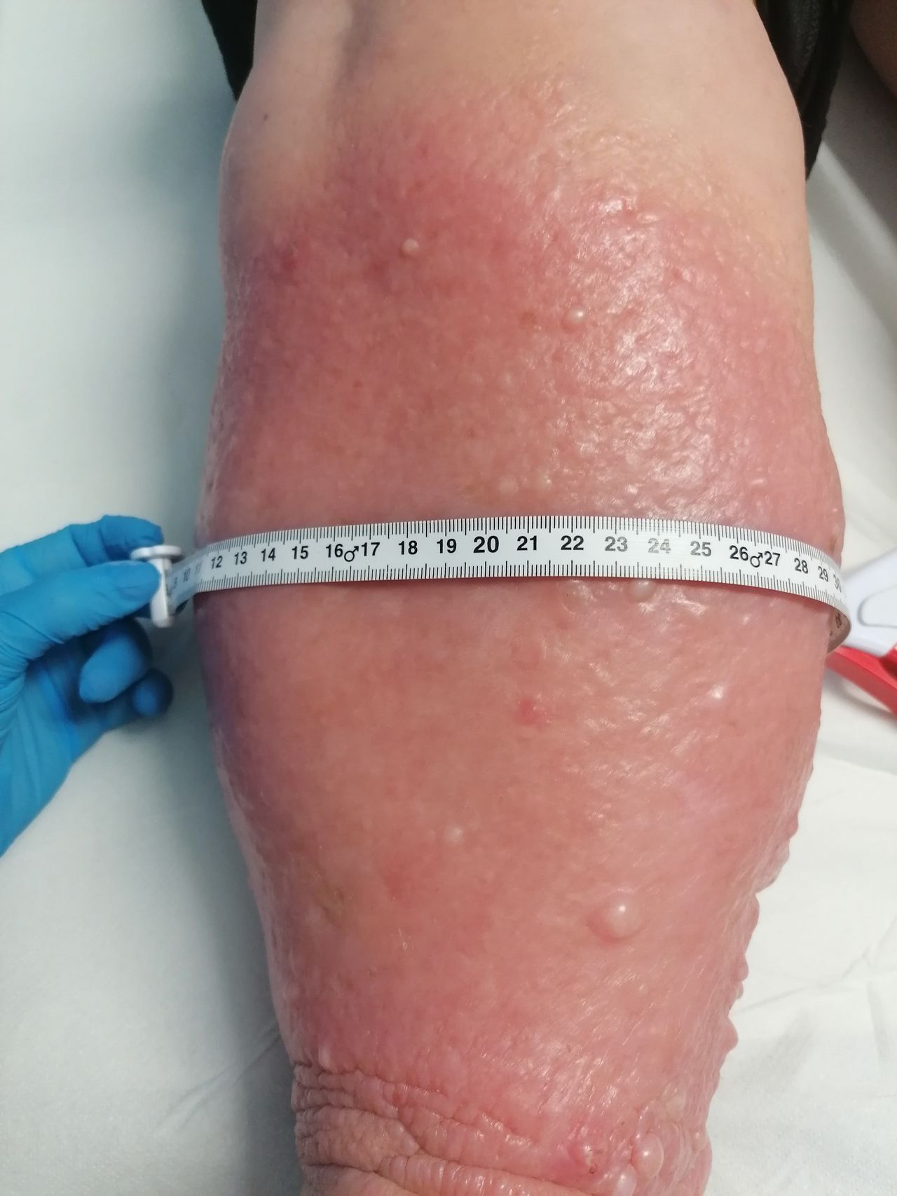 Kassandra Nicolosi-162