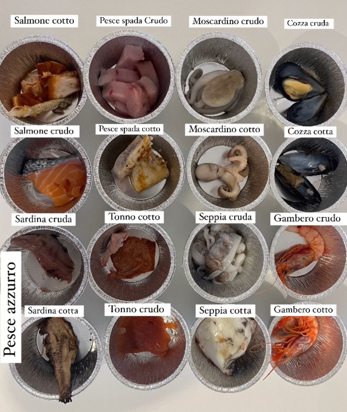 Carla Maria Deiana-8