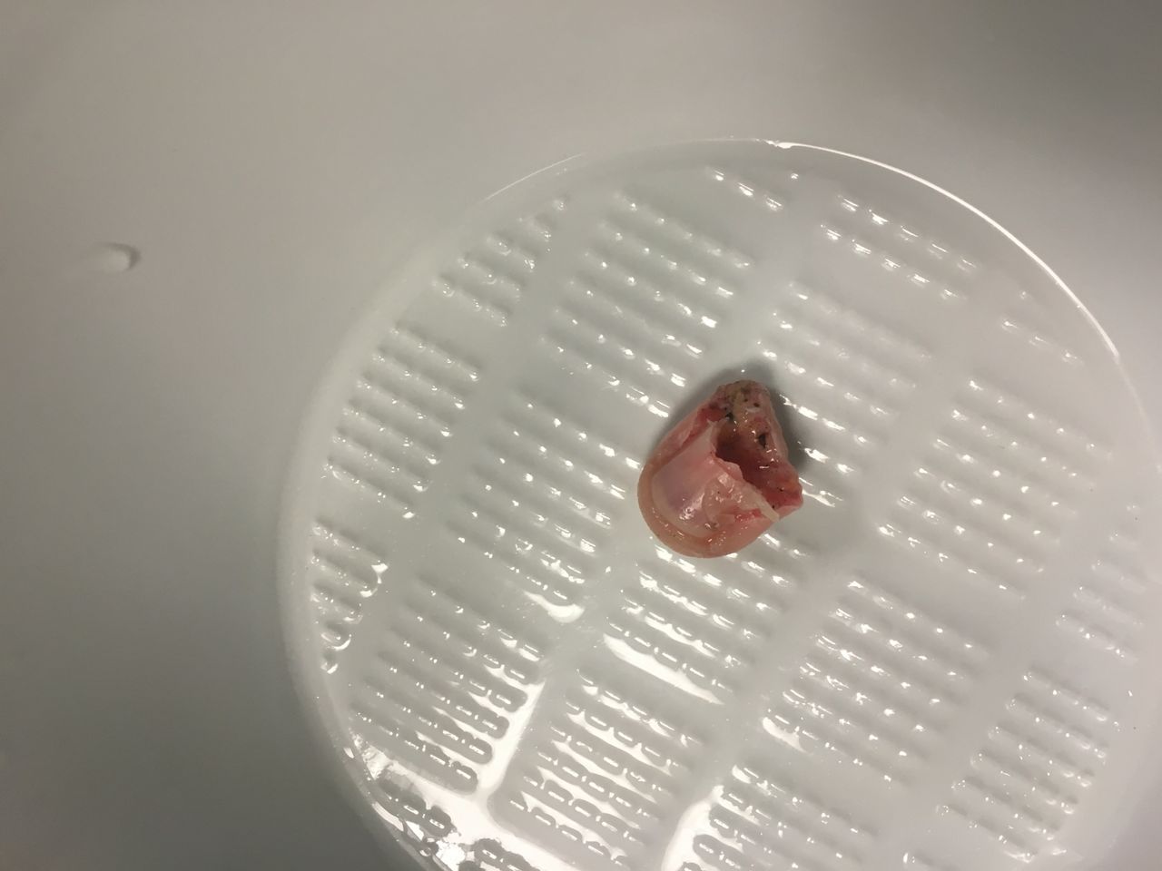 Giampaolo Monacelli-4