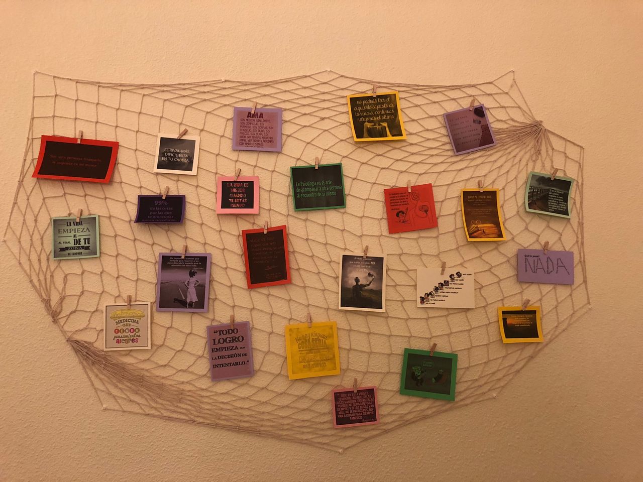 Lourdes Merino Chico-8