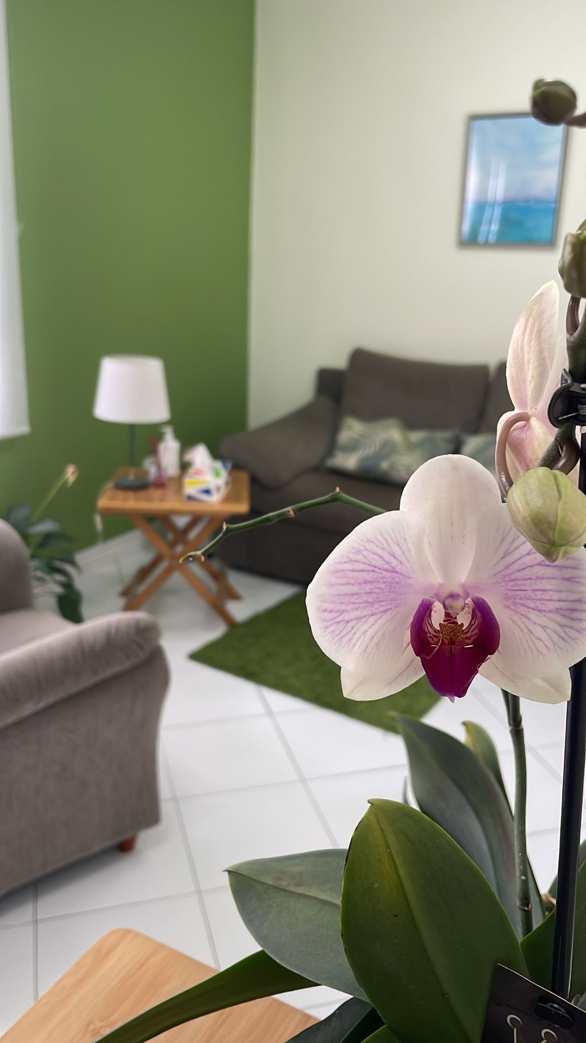 Mariela Canino Rodríguez-2