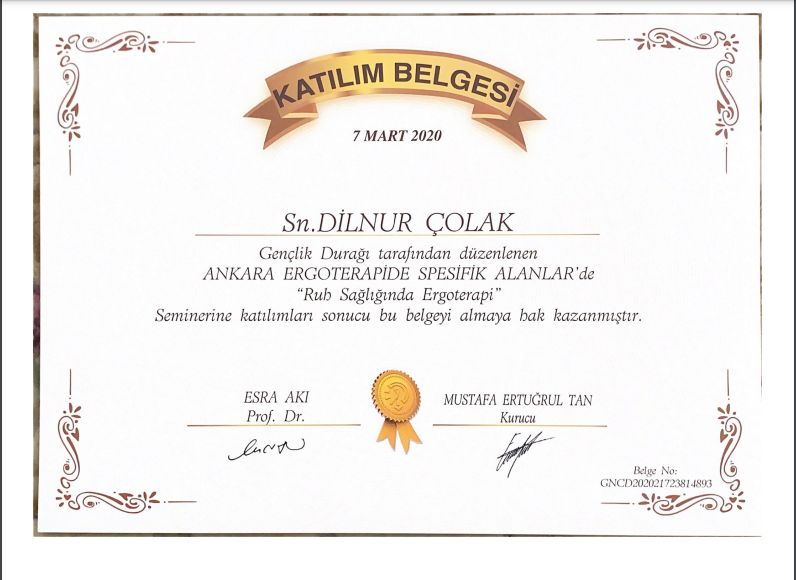 Dilnur Çolak-7