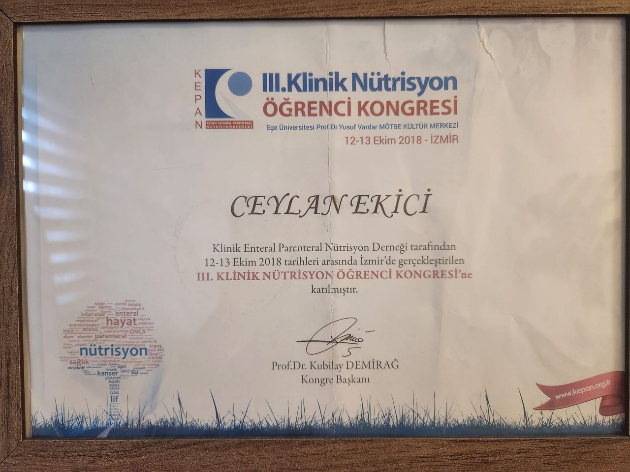 Ceylan Ekici-8