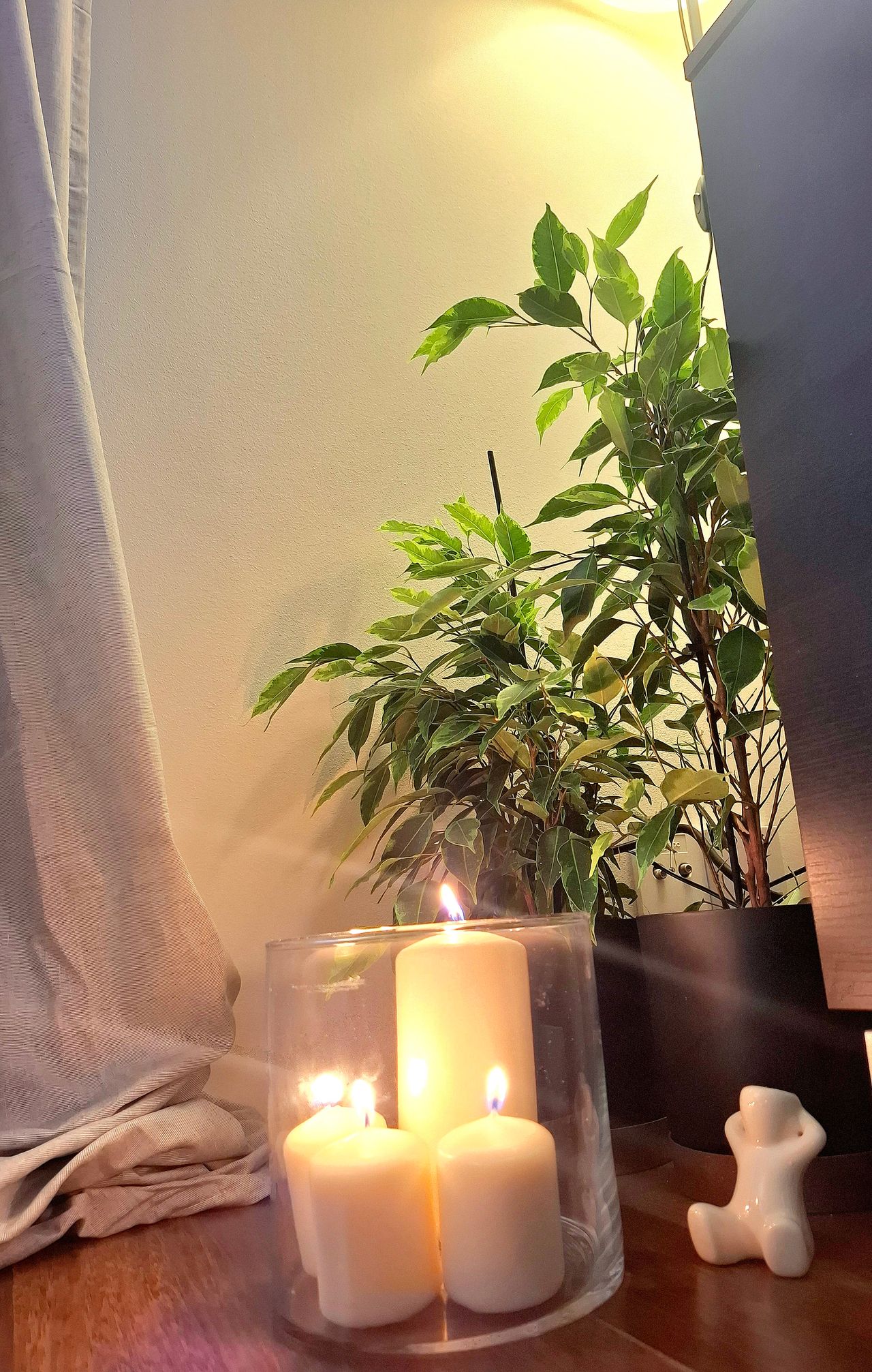 Monika Antoniewska-4