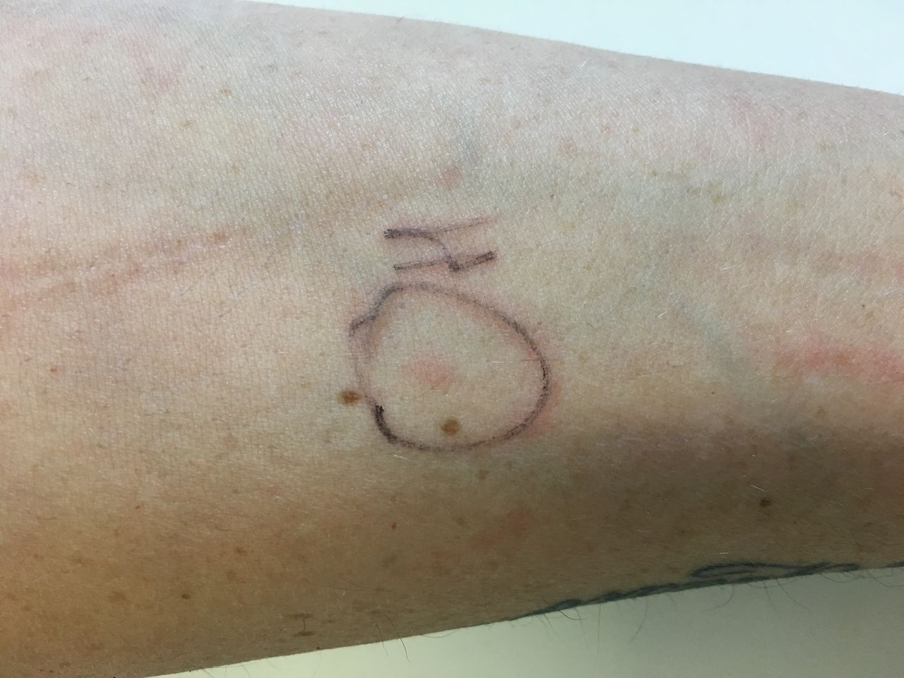 Maria Stefania Leto Barone-14