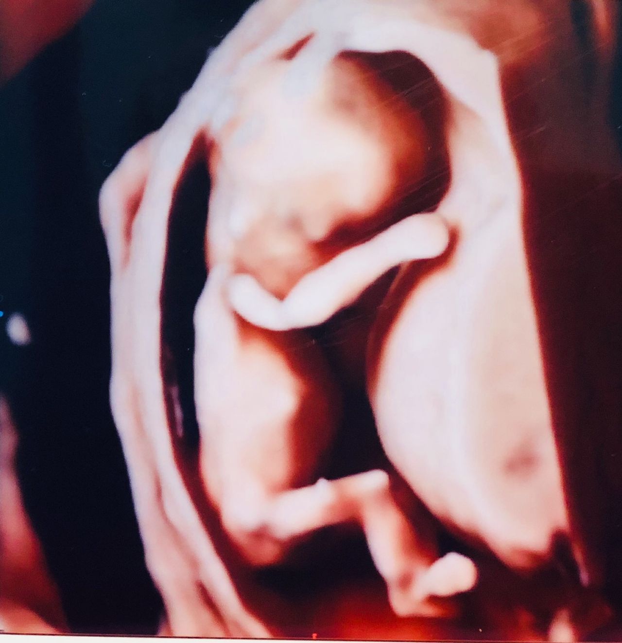 Andrzej Kałamacki-14