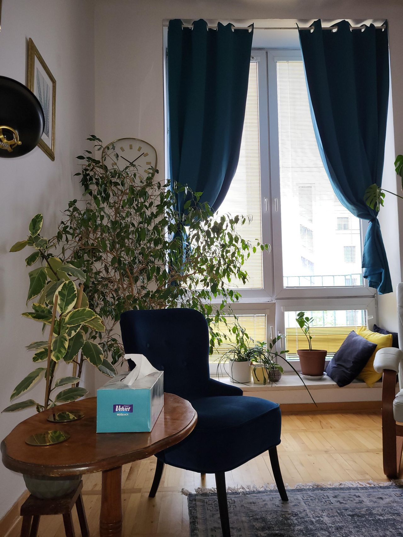 Agnieszka Dębniak-1