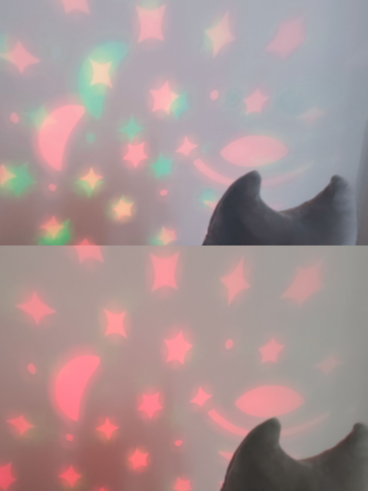 Daria Maciejewska-25