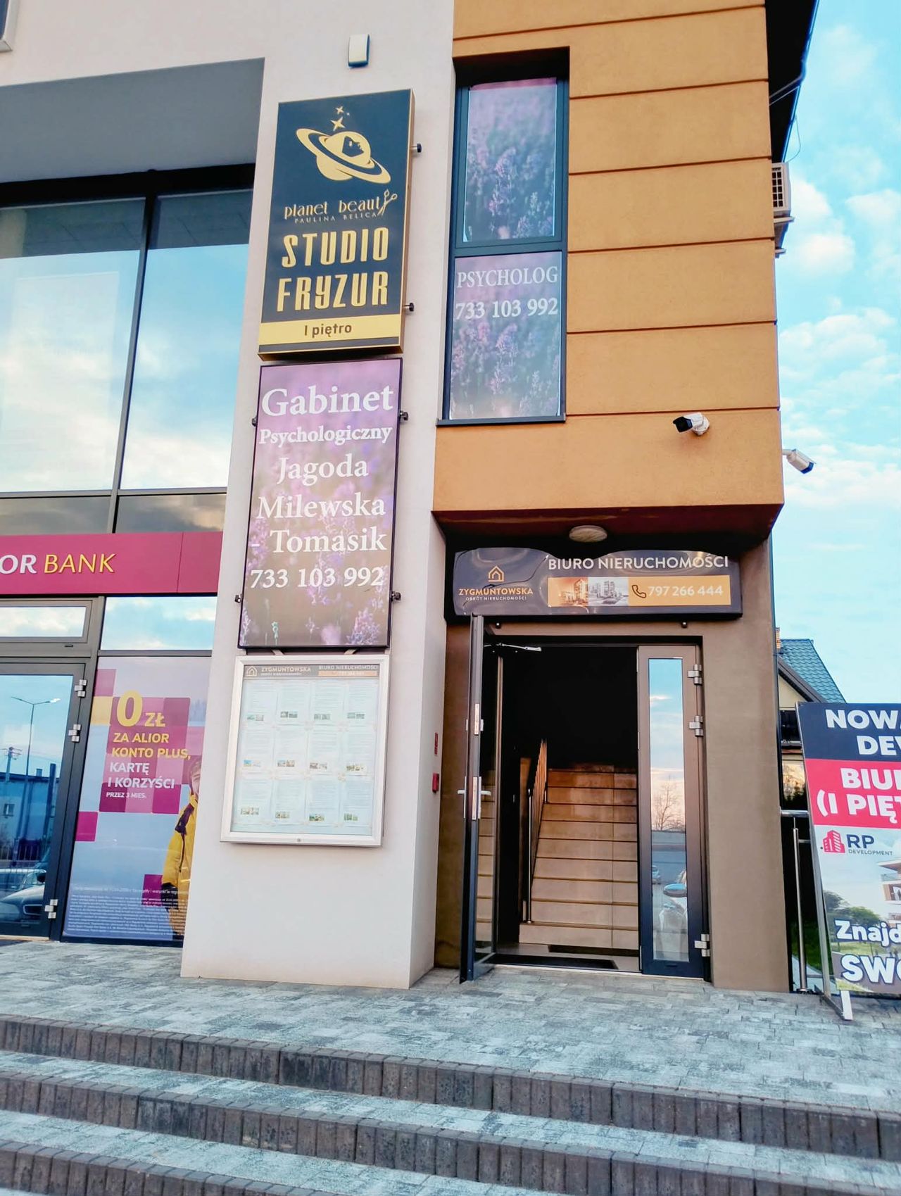 Jagusława Milewska-Tomasik-0