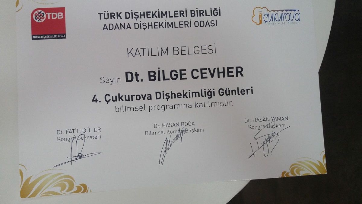 Bilge Cevher-11