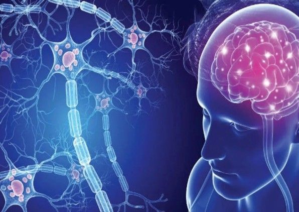 Filippo Martinelli Boneschi-1