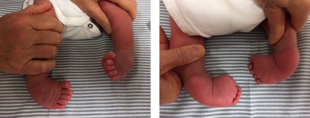 Giovanni Luigi Di Gennaro-14