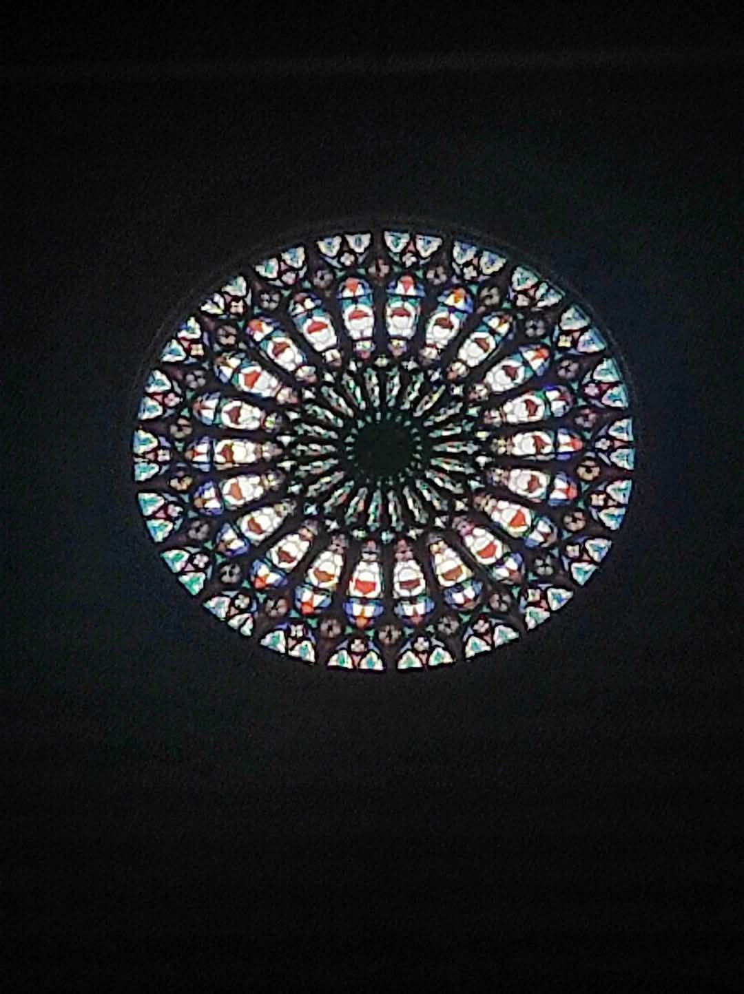 Michele Locuratolo-8