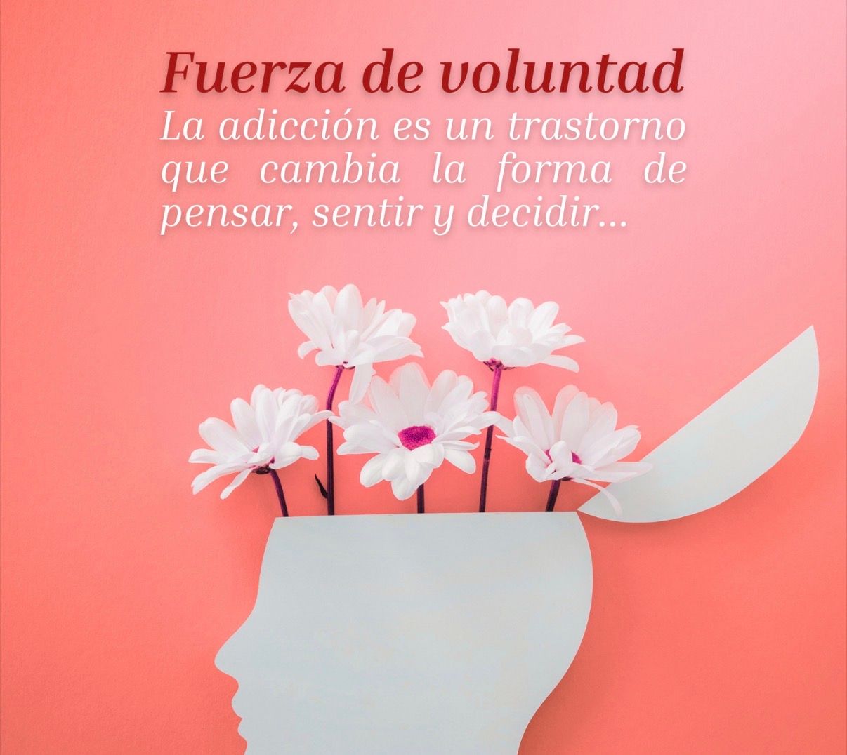 Maria Jose Martinez Corbalan-12