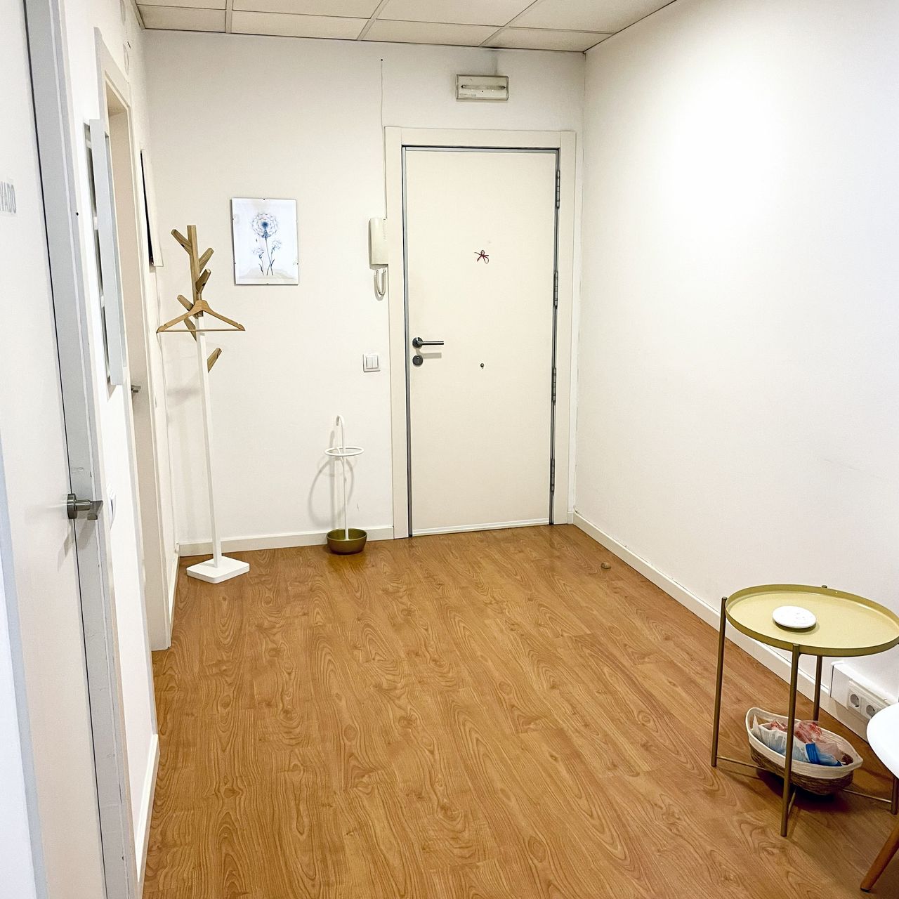 Ainhoa Goenaga Alzuri-2