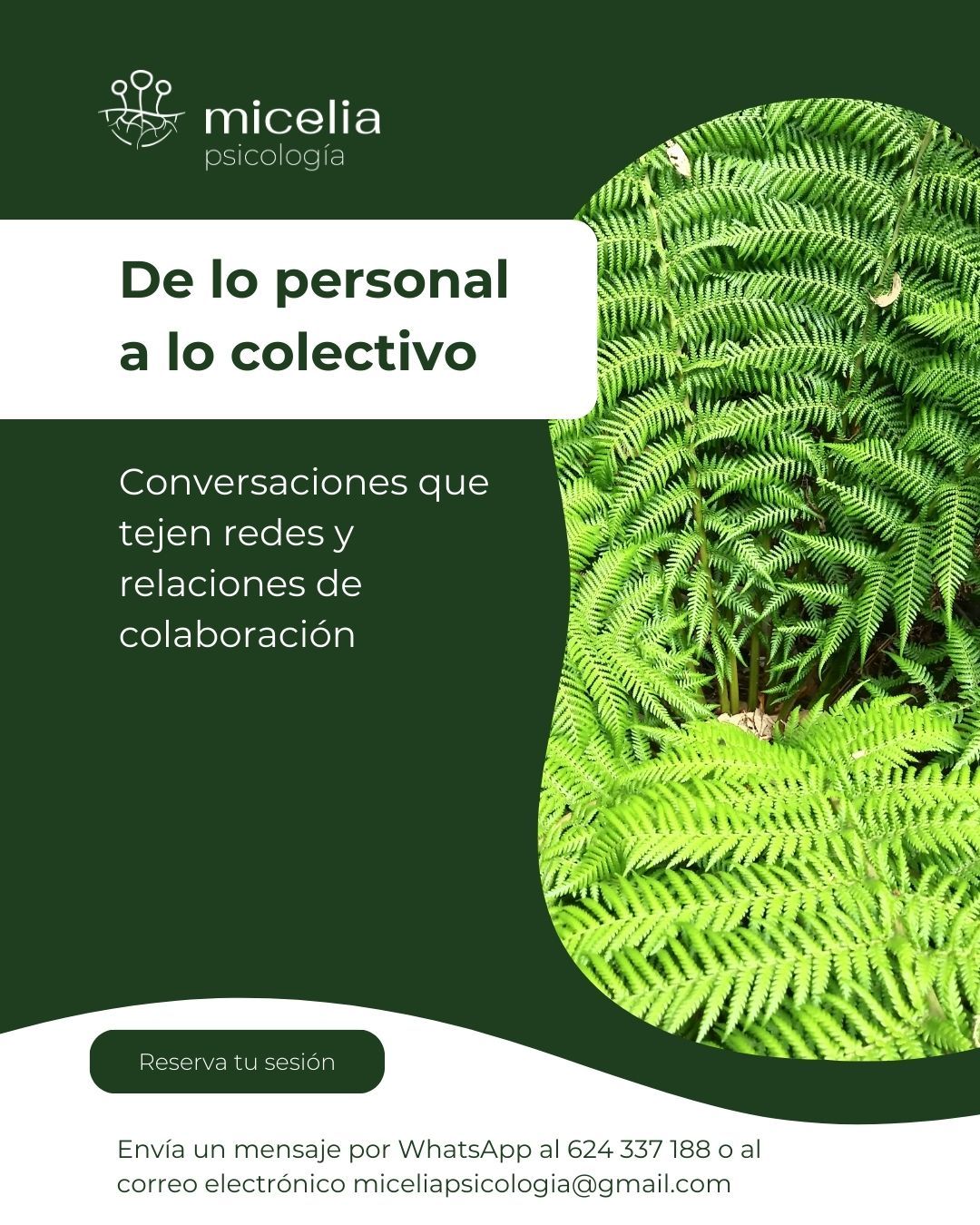 Carolina Martín Vázquez-8