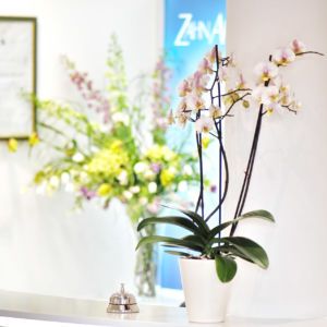 Louisa Hemming, Geb. Plantholt-9