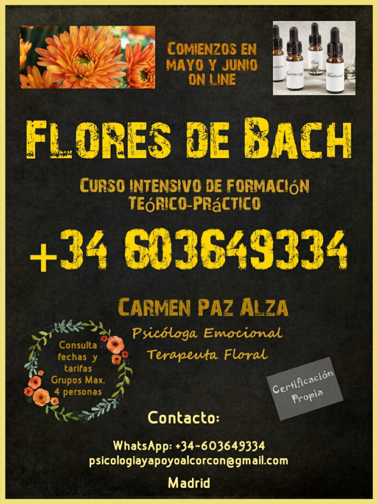 Carmen Paz Alza Millie-16