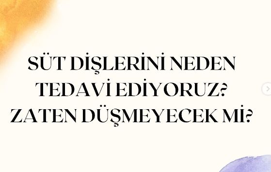 Şükriye Türkoğlu Kayacı-1