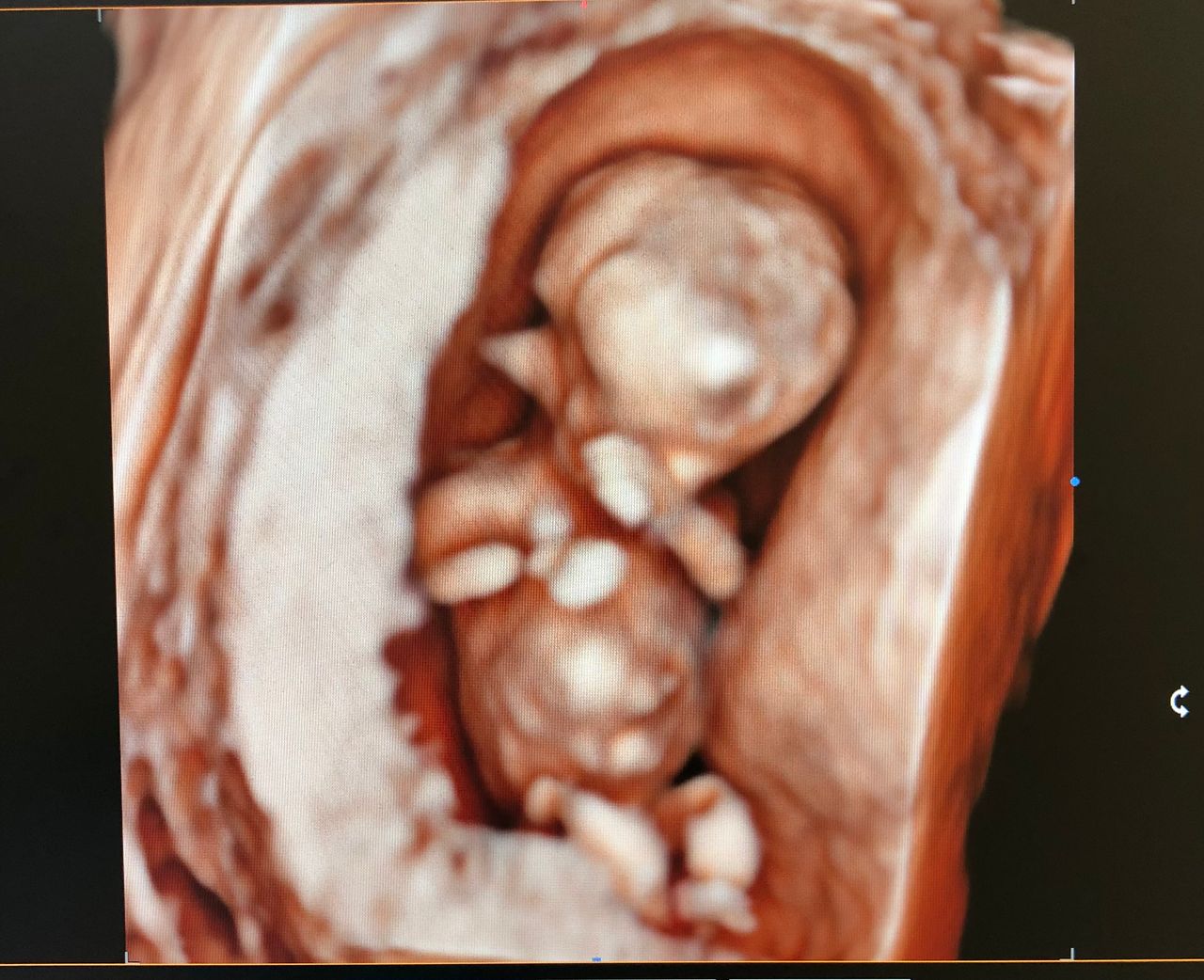 Mariella Amendolara-5